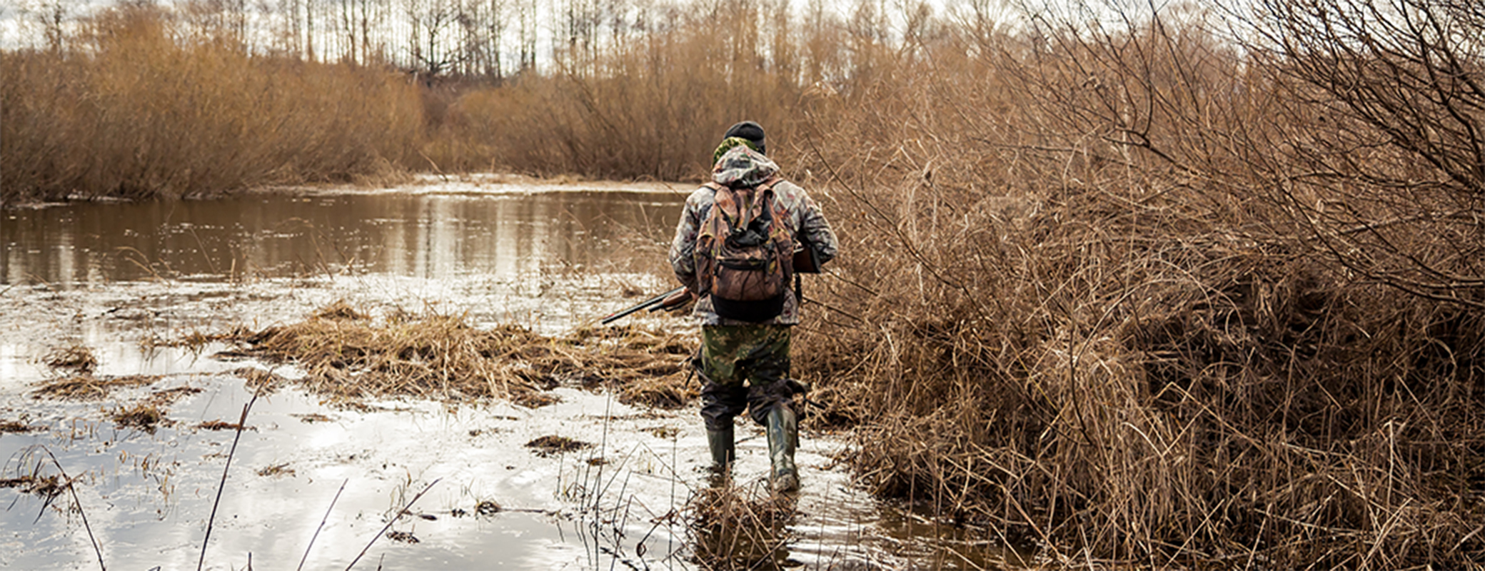 Image of duck hunter in a swampy area